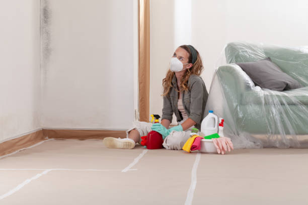 Reliable Mold Inspection And Testing contractor in Woodbury, NJ by Car Mold Remediation